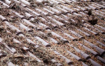 Combe Moor roof cleaning companies