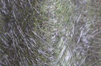 Combe Moor fibreglass roof work